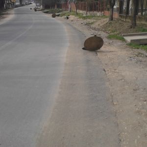 SIMBAC Canalizari 09